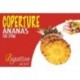 COPERTURA ANANAS