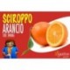 SCIROPPO ARANCIO