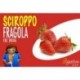 SCIROPPO FRAGOLA