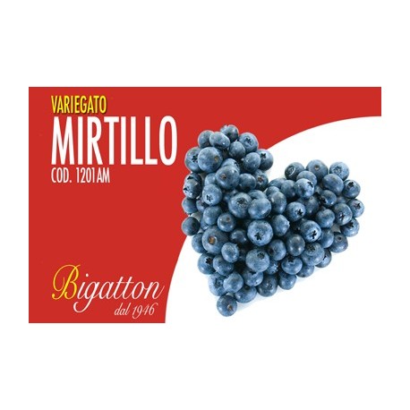 VARIEGATO MIRTILLO