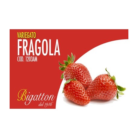 VARIEGATO FRAGOLA