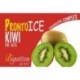 PRONTO ICE KIWI