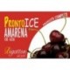 PRONTO ICE AMARENA